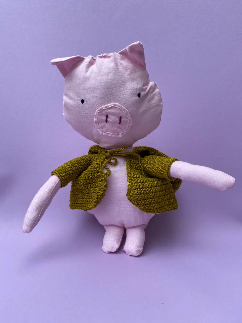 Piggy with hooded coat
